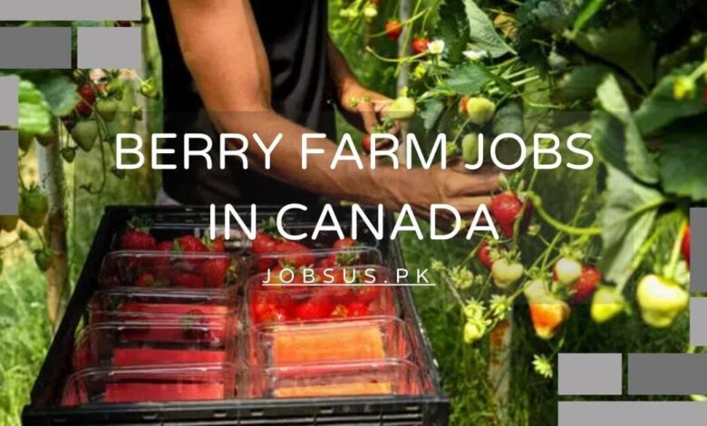 Berry Farm Jobs in Canada