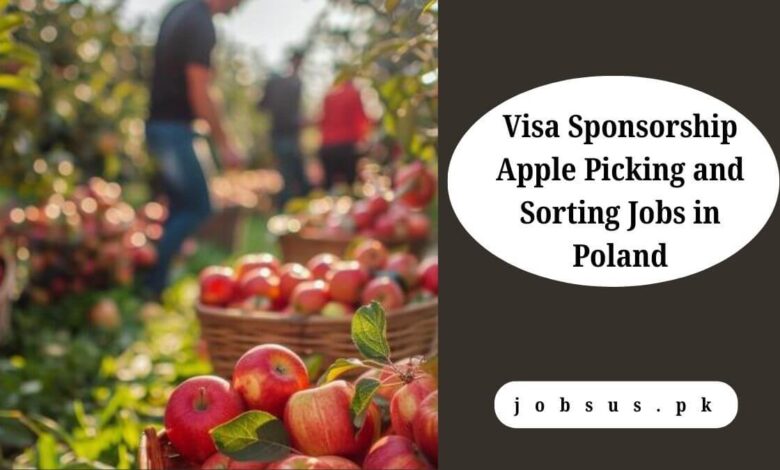 Visa Sponsorship Apple Picking and Sorting Jobs in Poland
