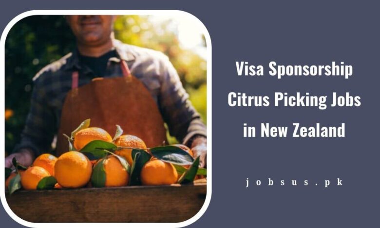 Visa Sponsorship Citrus Picking Jobs in New Zealand